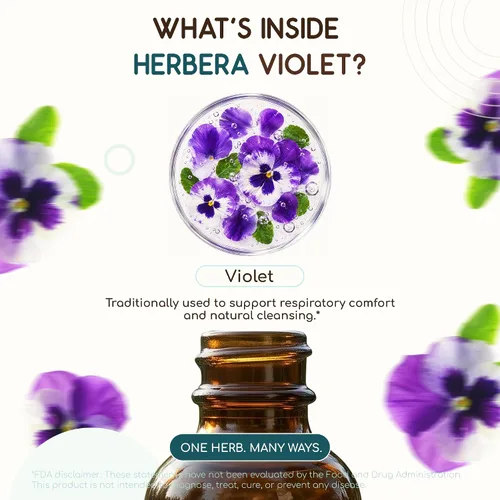 Vista 4 de Tintura de extracto líquido sin alcohol violeta - Soporte linfático, hoja seca tricolor de viola, gotas respiratorias, vegano, suplemento de hierbas