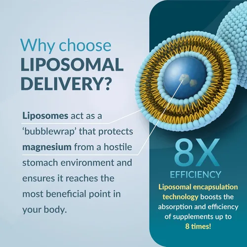 Vista 2 de Cápsulas de citrato de magnesio liposomal — Suplemento de magnesio de alta absorción para estreñimiento, sueño, calambres musculares y recuperación