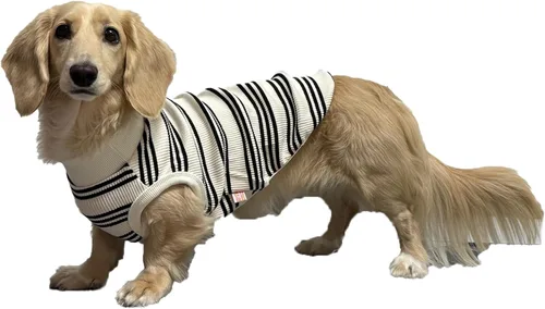 Vista 14 de D Doggy Star - Suéter de perro salchicha para perros, ropa de forro polar, abrigo de invierno (M, bolsillo azul marino)
