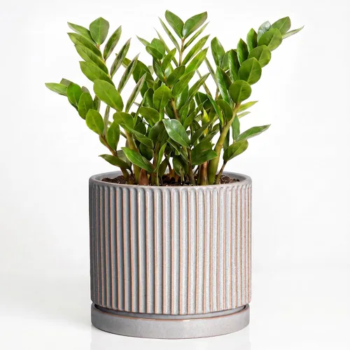 Vista 27 de 8 Inch Flower Pot, Ceramic Planters, Round Plant Pot, Beige