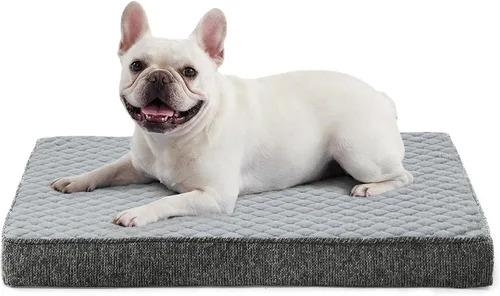 Vista 14 de JOEJOY Cama ortopédica para perros extra grandes