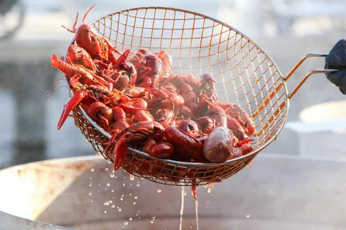 Vista 4 de Cajun Choice - Hervido de cangrejos de cangrejo de camarón, 8 onzas (paquete de 8)