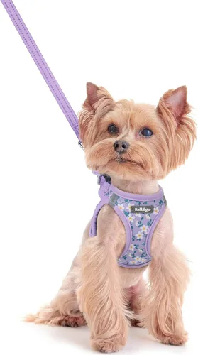 Vista 36 de rabbitgoo Arnés para perro de tamaño pequeño y juego de correa, chaleco Cachorros de manzana