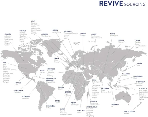 Vista 7 de Mezcla de Aceite Esencial de Impulso de Inmunidad 10ml por Revive Essential Oils - 100% Puro Grado Terapéutico, para Difusor, Humidificador, Masaje