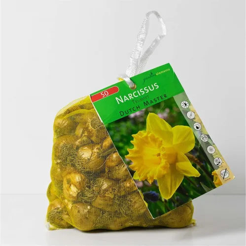 Vista 5 de Garden Elements Bulbos de narciso - Bolsa de 50 bombillas