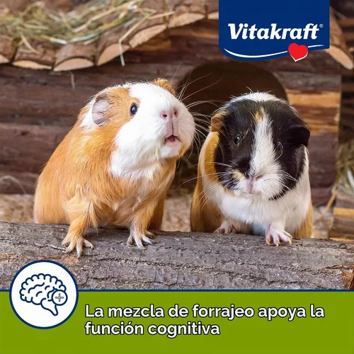 Vista 6 de Vitakraft Vita Smart - Comida para conejillo de indias, 4 libras