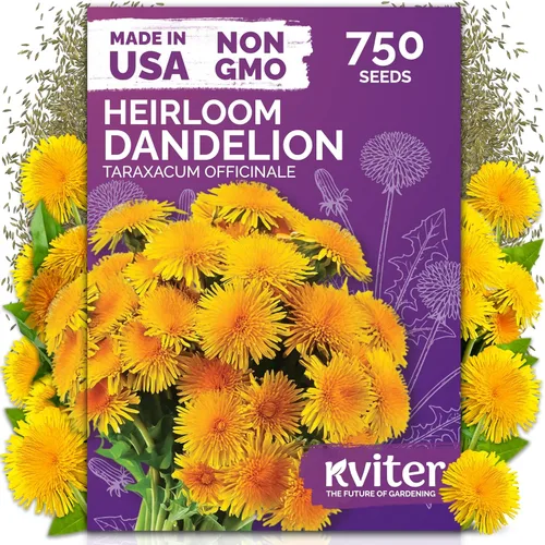 Vista 31 de KVITER 15,000 semillas de rosa musgo mixta para plantar (Portulaca grandiflora) – Cubierta de suelo con floración de reliquia, semilla de Portulaca