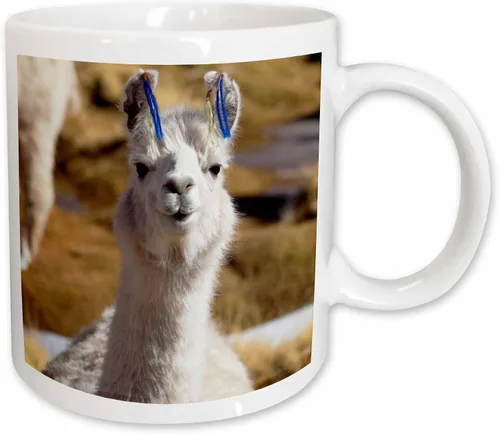 Vista 12 de 3dRose Taza de café, tamaño - 15oz - Argentina, Santa Rosa de los Pastos Grandes, llama - SA01 JRI0222 - Jutta Riegel Llamas - divertida taza