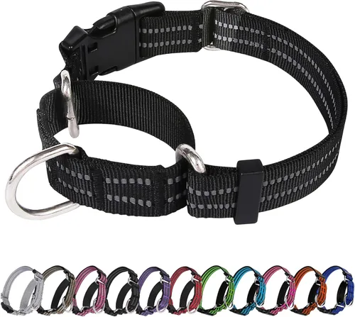 Vista 11 de Martingale - Collar reflectante de nailon ajustable con hebilla de liberación rápida, collares de entrenamiento para perros pequeños, medianos