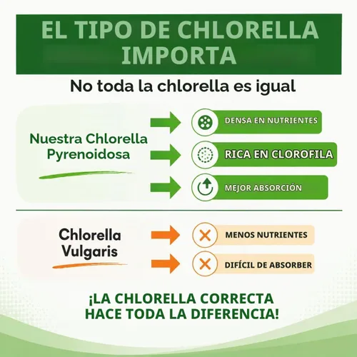 Vista 7 de Chlorella Cápsulas 3000 mg – Pared celular agrietada suplemento de algas verdes azules – La mejor limpieza natural de desintoxicación – Vitaminas