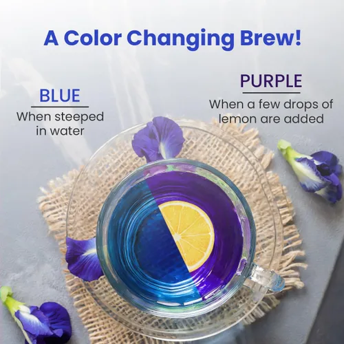 Vista 8 de BLUE TEA - Té de flor de guisante mariposa - 0.35 onzas (más de 40 tazas) suelto Rico en antioxidantes Sin cafeína - Té desintoxicante - A base