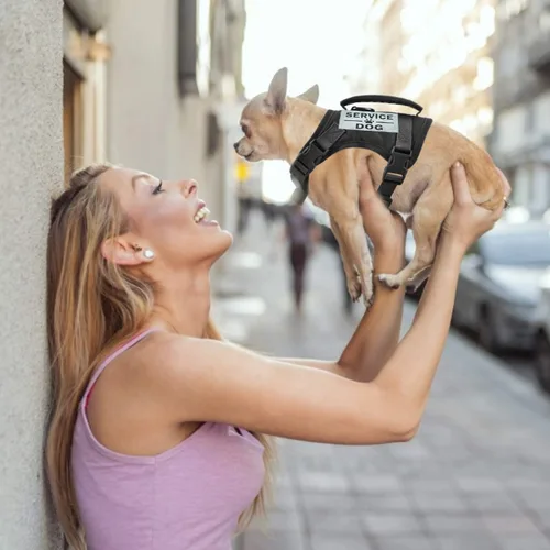 Vista 3 de Arnés táctico para perro, chaleco de entrenamiento al aire libre, chaleco militar K9 de patrulla para perro, arnés táctico ajustable para cachorros