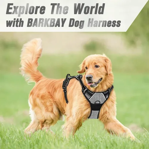 Vista 25 de BARKBAY - Arnés para perro sin tirones con clip frontal, material resistente y reflectante, asa de fácil control para pasear perros grandes