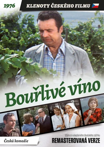 Vista 2 de Bourlive vino Remastered DVD