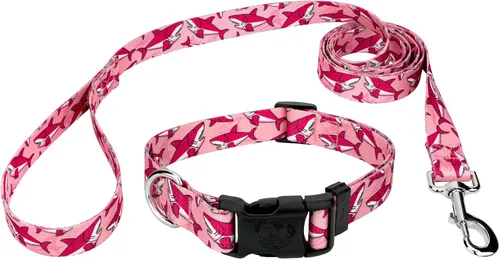 Vista 11 de Country Brook Petz - Collar y correa de perro de dinosaurios de lujo - Colección Critter Corner con diseños temáticos de criaturas (1/2 pulgada, 2XS)