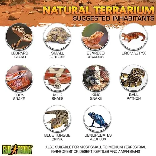 Vista 3 de Kit de terrario de vidrio Exo Terra, para reptiles y anfibios, Nano, 8 x 8 x 8 pulgadas, PT2599A1