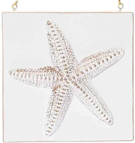 Vista 3 de Gallerie II Adorno costero de cerámica Sea Star Blanco