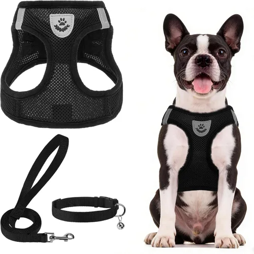 Vista 31 de PUPTECK - Arnés, collar y correa ajustables, sin tirones, para perros pequeños y medianos, cachorros y gatos, pechera reflectante acolchada de malla