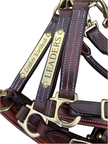 Vista 4 de Leaders - Cabestro acolchado de cuero para caballos con placa de nombre grabada personalizada con opción halter para caballo