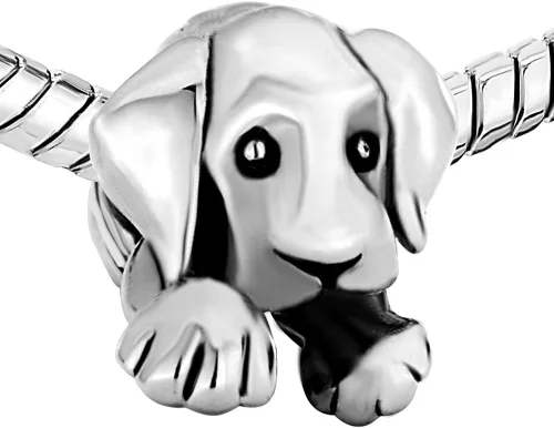 Vista 2 de CharmSStory - Abalorio para pulsera, diseño de huella de perro