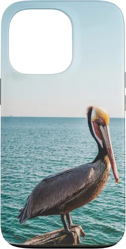 Vista 9 de iPhone 11 Pelican Case