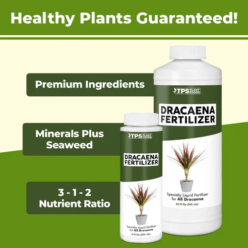 Vista 6 de Dracaena Fertilizante - Alimento líquido vegetal para hojas verdes ricas y crecimiento fuerte de la caña, 8 onzas