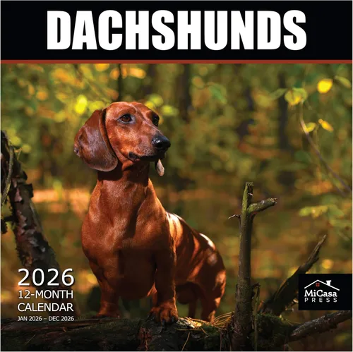 Vista 7 de MICASA PRESS Calendario de pared de Australian Shepherds Aussies 2027 02 - Pastores australianos