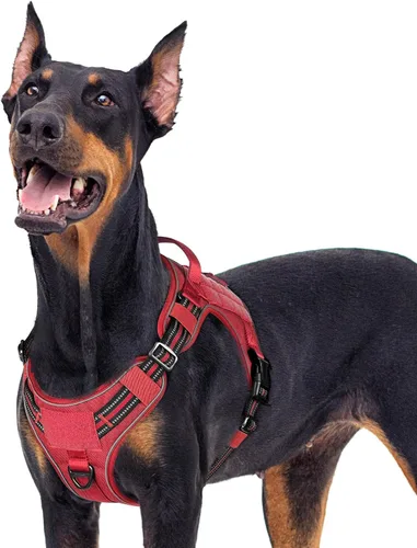 Vista 48 de rabbitgoo - Arnés para perros pequeño sin tirones, chaleco táctico de servicio con Molle y asa de control, arnés militar ajustable y reflectante