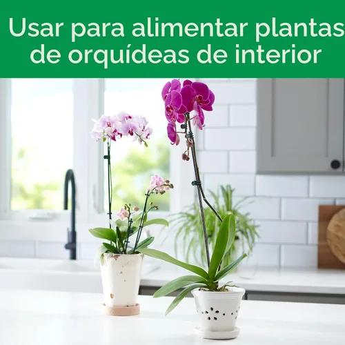 Vista 3 de Miracle-Gro Picos de alimento para plantas de orquídeas