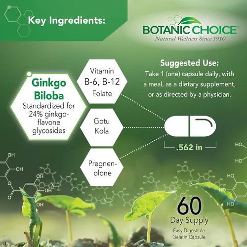 Vista 3 de Botanic Choice Advanced Memory Complex - Suplementos cerebrales de apoyo al estado de ánimo para la memoria y la concentración, mezcla de hierbas
