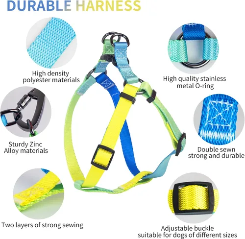 Vista 2 de AIITLE Arnés para perro, correa y collar sin tirones, collar básico ajustable con una correa resistente, hebilla súper resistente y anillo en D, Azul