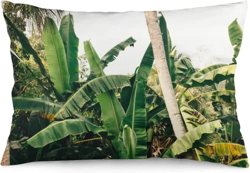 Vista 44 de Protector de almohada de playa con palmeras tropicales de 16 x 14 pulgadas, palmeras de playa, paisaje marino costero, decorativo, rectangular