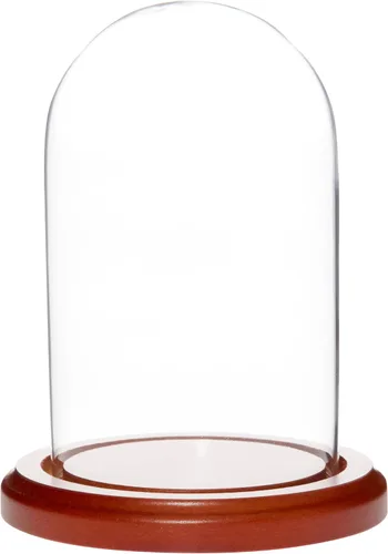Vista 9 de Plymor Cúpula de exhibición de cristal de 3 "x 5" (base de madera MDF negra)