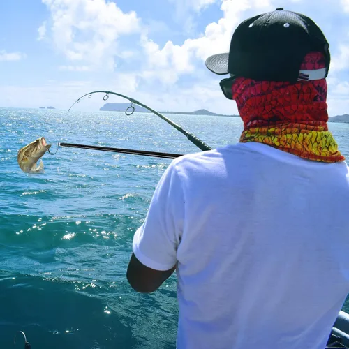 Vista 6 de KOMCLUB Telescopic Fishing Gaff with Super Sharp Spear Hook Lightweight Hand Fish Gaff with Soft
