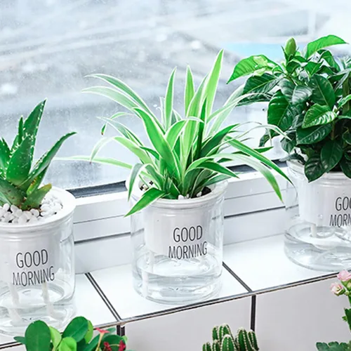 Vista 3 de AkoMatial Macetas de riego automático, macetas transparentes para suculentas, maceta redonda con cuerdas de algodón para el hogar, oficina, jardín