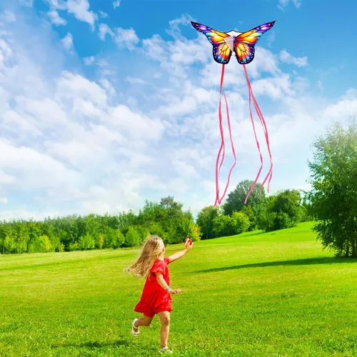 Vista 4 de Xida Butterfly Kite for Kids & Adults Easy to Fly, Ages 4-8 8-12, Large Kite with 300ft Handle, Perfect for Beach Trips