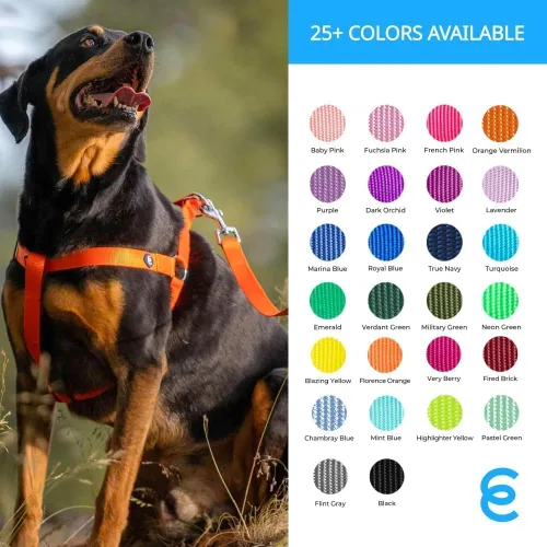 Vista 8 de Blueberry Pet - Correa Essentials clásica para perro con más de 20 colores, duradera, doble asa y de cuerda