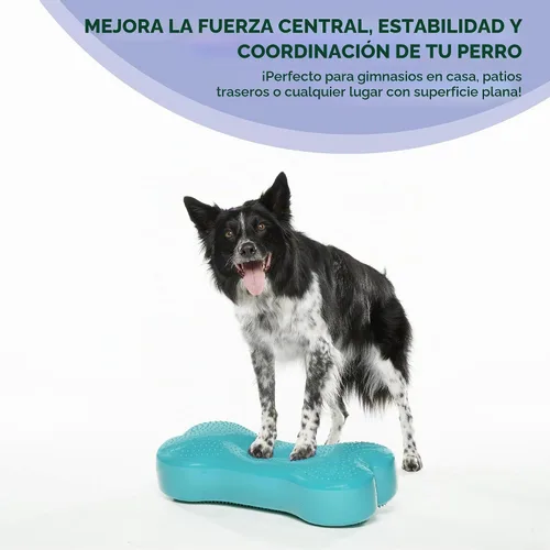 Vista 3 de FitPaws® K9FITbone® Plataforma de equilibrio para perros, equipo de rehabilitación + ejercicio, aguamarina Azul aguamarina