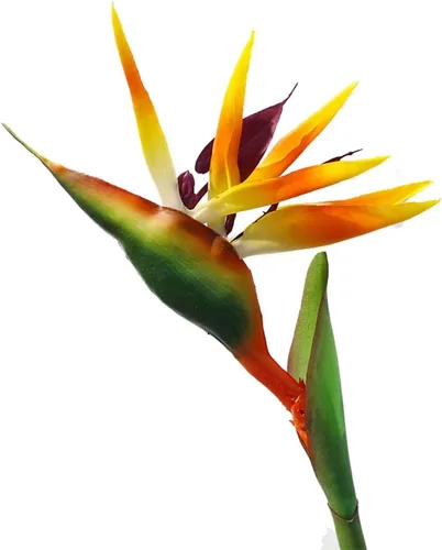 Vista 8 de Flor artificial de pájaro del paraíso artificial Strelitzia Reginae planta de seda artificial para oficina en casa, 1 unidad (azul)