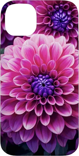 Vista 15 de Dahlia Flower Floral Nature Garden Funda con diseño granate rosa y morado para iPhone 16