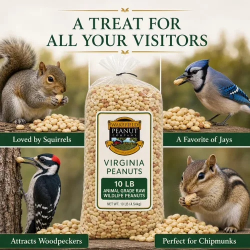Vista 4 de Wakefield Virginia Peanuts - Cacahuetes de vida silvestre crudos de grado animal, 20 libras