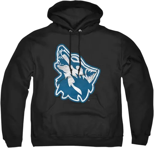Vista 13 de Distressed College Primary Logo Adult Pullover Hoodie Collection 1 Universidad Estatal de Albany