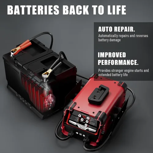 Vista 11 de Mantenedor del cargador de batería de coche de 12V/24V, carga Red