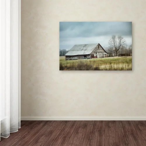Vista 3 de Jai Johnson - Lienzo decorativo para pared, diseño de granero gris antiguo, 22 x 32 pulgadas