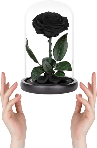 Vista 3 de Rosas preservadas, rosas negras en cúpula de cristal, medianas, flores preservadas para el día de la madre, regalos para mujeres Negro