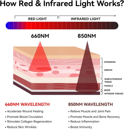 Vista 5 de Megelin Alfombrilla de terapia de luz roja para todo el cuerpo, 3840 piezas LED de 660 nm y 850 nm, dispositivo de terapia de luz infrarroja de 71 x
