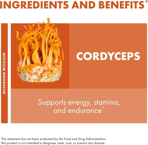 Vista 6 de Host Defense Extracto de Cordyceps - Suplemento de apoyo inmunológico y energético - Suplemento de salud renal con Cordyceps - Apoyo físico