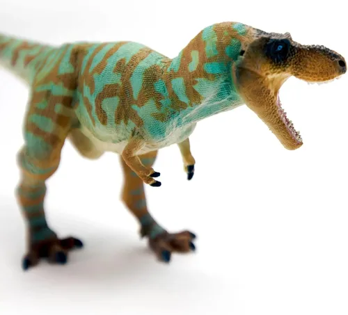 Vista 4 de Safari Ltd. Figura de Albertosaurus – Figura detallada de plástico de 10 pulgadas – Divertido juguete educativo de dinosaurio para niños, niñas