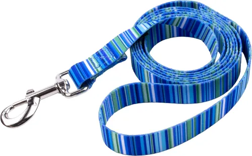 Vista 23 de Country Brook Design® Correa para perro Native Arizona de 1 pulgada - 6 pies Arizona nativa