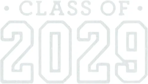 Vista 18 de Calcomanía para planchar de clase 2029, parche de camiseta de clase superior, transferencia de calor, calcomanía gráfica de camiseta HTV